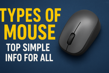 Types of Mouse Top Simple Info for All